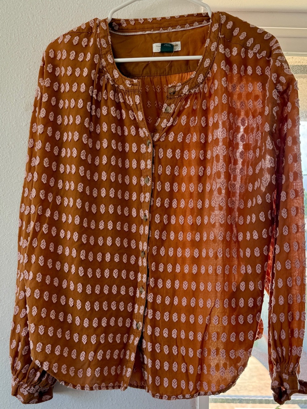 Anthropologie Rust Brown Embroidered Button-Up Top